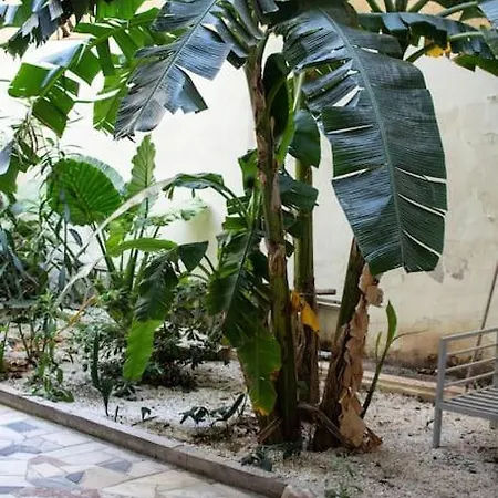 Garden Apt Apartment *